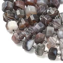 Природные Ботсвана агат бисер нитей&nbsp;G-G453-G10-7x12mm