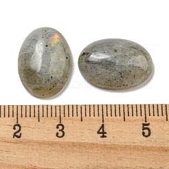 Natur Labradorit Cabochons&nbsp;G-C115-01A-17
