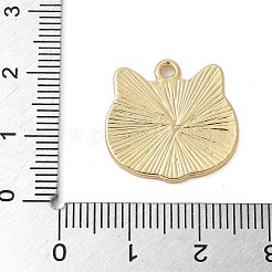 Pendentifs d'émail en alliage&nbsp;ENAM-A009-05D-G