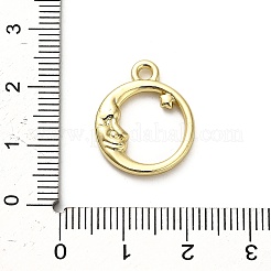 Aluminium Anhänger & Charms&nbsp;X1-FIND-A051-03B-G