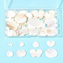 56 шт. 7 подвески в виде пресноводных ракушек SHEL-FS0001-07