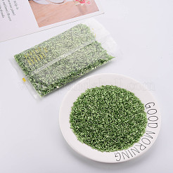 Никелированный стеклянные бусины стеклярус SEED-S046-01B-49A