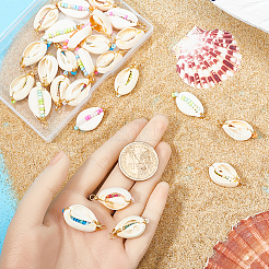 30 шт. подвески из натуральной ракушки каури SHEL-SC0001-43