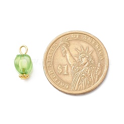 Прозрачные акриловые подвески&nbsp;PALLOY-JF01834-01