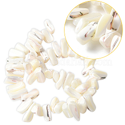 1 нить окрашенных натуральных бусин из ракушек трохус SSHEL-PA0001-01B