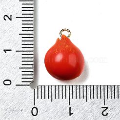 Латунные подвески из акрила OACR-R006-04G-04