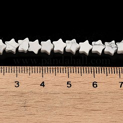 合成ハウライトビーズ連売り  スター  4x4.5x2mm  穴：0.8mm  約102個/連  15.35インチ（39cm）&nbsp;G-G085-B33-01