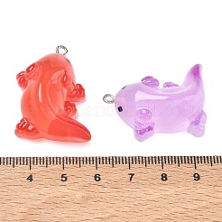 樹脂チャーム  メキシコサンショウウオのお守り  ミックスカラー  32.5x28.5x13.5mm  穴：1.8mm&nbsp;RE-CBA14F0-09