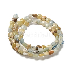 Натуральный цветок амазонитовые бусины пряди G-P575-C07-6mm