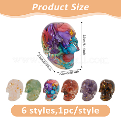 6 шт. 6 стиля украшения из смоляного черепа&nbsp;DJEW-DC0001-15