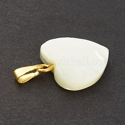 Натуральная ракушка трохида / подвески из ракушки трохуса SSHEL-K027-12