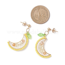 フルーツガラススタッドピアス  アクリルリーフと304ステンレススチールのイヤリング金具付き  レモン  42~43.5x19.5mm&nbsp;EJEW-MZ00524-03