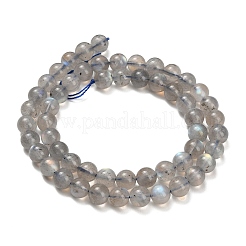 Natur Labradorit Perlen Stränge&nbsp;G-G448-7.5mm-04