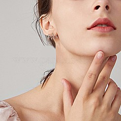 クリスタル ラインストーン クロー スタッド イヤリング  女性のための真鍮のアクセサリー  ミックスカラー  12x16mm&nbsp;JE919A