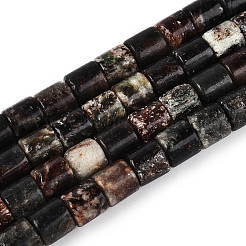 Природного биотита нитей бисера G-T141-88A