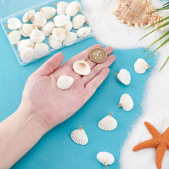 30 шт. Подвески из натуральных ракушек PALLOY-PH01844