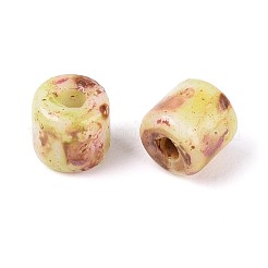 Выпечка краска стеклянные бусины&nbsp;SEED-N009-02E