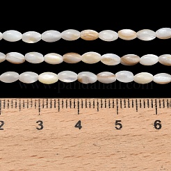 Natürlichen Süßwasser-Muschelperlen Stränge&nbsp;SHEL-C010-03A