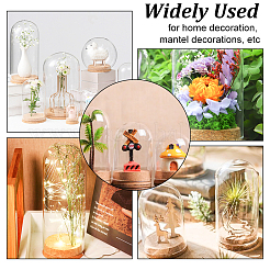 Transparente Vitrinen mit Kuppelgläsern aus Glas&nbsp;LS-AJEW-WH0329-72A