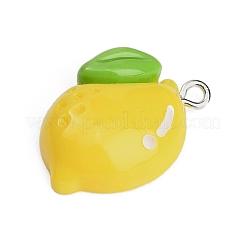 Résine avec pendentifs en alliage&nbsp;RE-CBA08CD-09A