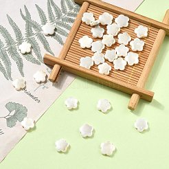 30шт гальванические бусины из натуральных пресноводных ракушек SHEL-CJ0001-26