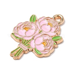 Pendentifs d'émail en alliage&nbsp;LS-ENAM-I089-02G-06