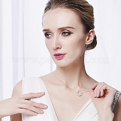 Модные 925 стерлингового серебра кубический цирконий круг подвеска ожерелья TS-N341-S