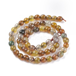 Окрашенные естественно дракон жил агат бисер пряди G-C065-6mm-30