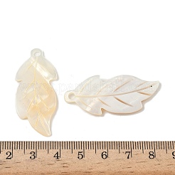 Резные подвески из натуральных пресноводных ракушек SHEL-K006-54B