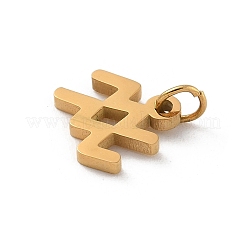 Ciondoli in acciaio inossidabile 304&nbsp;STAS-R001-04G-11