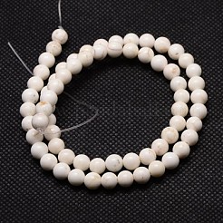 Fili di perline rotonde di magnesite naturale&nbsp;X-TURQ-L016-01-8mm