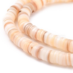Shell perle naturali&nbsp;BSHE-B003-13B-02