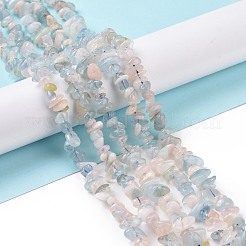 Естественно Morganite чип бусины пряди G-E271-84