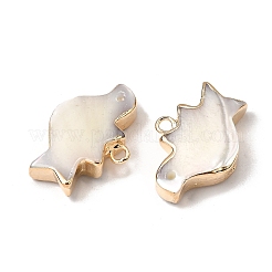 Натуральная ракушка трохида / подвески из ракушки трохуса SHEL-B003-09G