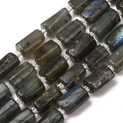 Chapelets de perles en labradorite naturelle &nbsp;G-F836-B06-02