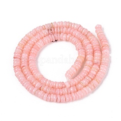 Hebras naturales de cuentas de concha de agua dulce&nbsp;SHEL-Q028-01D