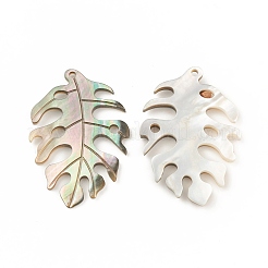 Оболочки губ натуральный черный подвески SSHEL-T012-18