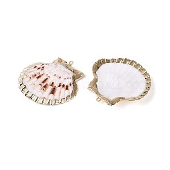 Galvanisierte Anhänger aus natürlichen Muscheln&nbsp;SSHEL-T018-17