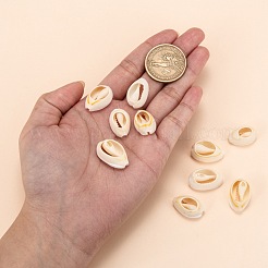 Perle di conchiglia di ciprea&nbsp;SHEL-S274-54