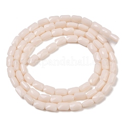 Непрозрачное стекло бисер нитей&nbsp;GLAA-Z018-D18