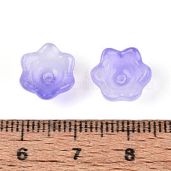 Прозрачные двухцветные колпачки для стеклянных бусин&nbsp;A-GLAA-Q089-002B-004