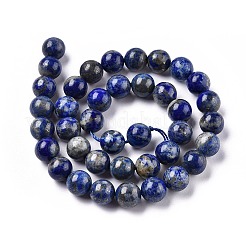 Natürlicher Lapislazuli Perlenstränge&nbsp;G-E483-17-10mm