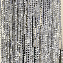 Природные лабрадорита бисер нитей&nbsp;LS-G-RM250104-B4