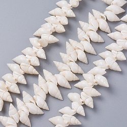 Natural Spiral Shell Beads Strands, White, 18~22x8~12x8~9mm, Hole: 1mm, 15.75 inch(40cm)