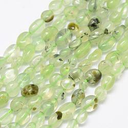 Chapelets de perles en préhnite naturelle, pierre roulée, pépites, 6~8x4~6mm, Trou: 1mm, 15.3 pouce (39 cm)