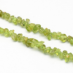 Natural Peridot Stone Bead Strands, Chip, 3~9x3~9x2~4mm, Hole: 1mm, about 112pcs/strand, 15.75 inch(40cm)