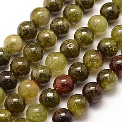 Natürlichen grünen Granat Perlen Stränge, Andraditperlen, Runde, 8 mm, Bohrung: 1 mm, ca. 48 Stk. / Strang, 15.3 Zoll (39 cm)