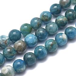 Chapelets de perles en apatite naturelle, ronde, 12mm, Trou: 1mm, Environ 32 pcs/chapelet, 15.5 pouce (39.5 cm)