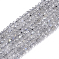 Chapelets de perles en labradorite naturelle , facette, ronde, 2mm, Trou: 0.4mm, Environ 182~183 pcs/chapelet, 15.55 pouce (39.5 cm)
