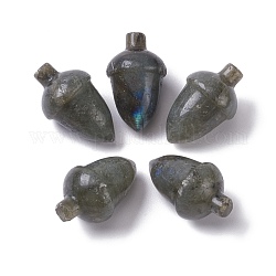 Perles naturelles de labradorite, pas de trous / non percés, pour création de fil enroulé pendentif , aveline, 27.5~30x18~19.5mm